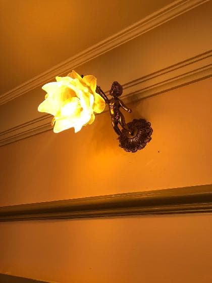 Lighting Repairs Available